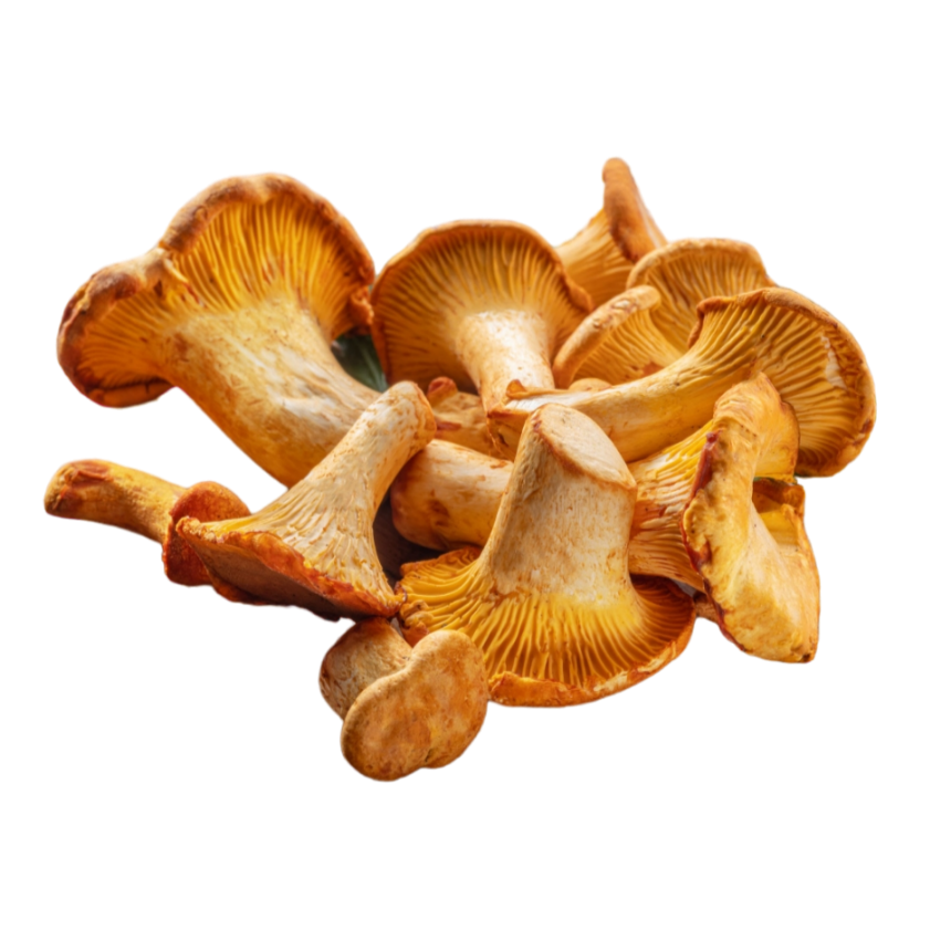 Frozen Whole Chanterelle Mushrooms 190g Terroirs.co